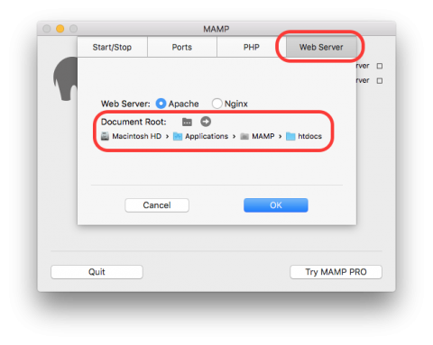MAMP htdocs