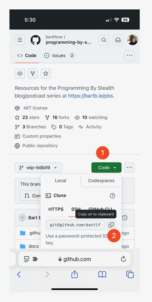 Open GitHub repo select Code and then copy SSH URL