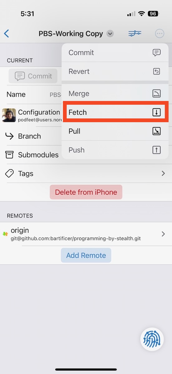 Choose Fetch to see the remote branches in Working Copy and then select Branch